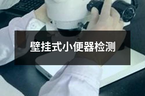 壁掛式小便器檢測