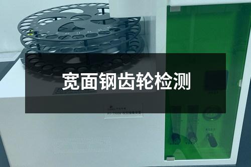 寬面鋼齒輪檢測