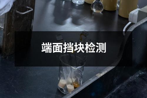 端面擋塊檢測