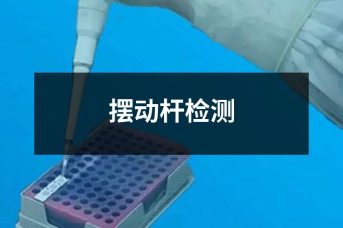 擺動(dòng)桿檢測(cè)