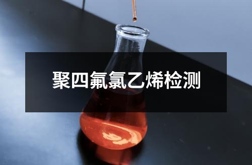 聚四氟氯乙烯檢測(cè)