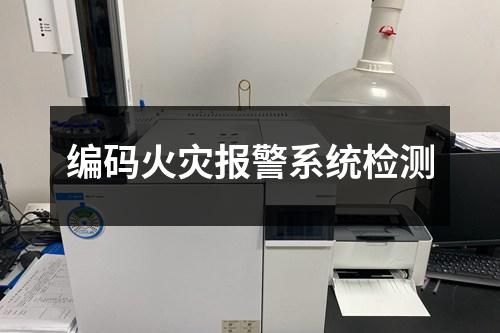 編碼火災(zāi)報(bào)警系統(tǒng)檢測