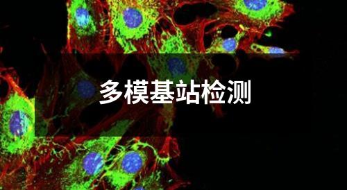 多模基站檢測