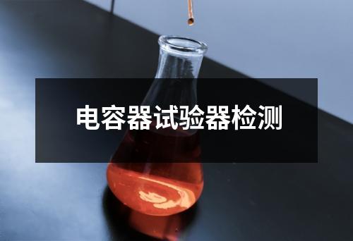 電容器試驗器檢測