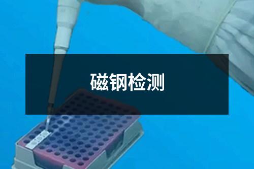 磁鋼檢測