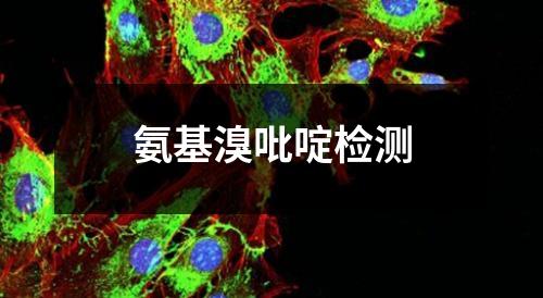 氨基溴吡啶檢測(cè)
