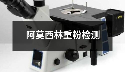 阿莫西林重粉檢測