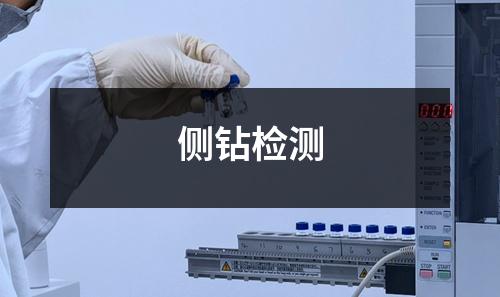 側(cè)鉆檢測