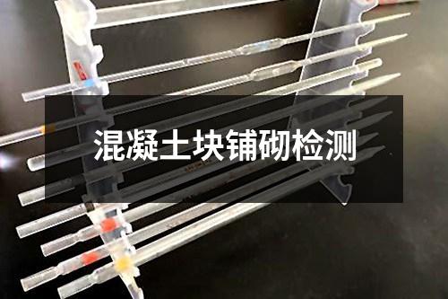 混凝土塊鋪砌檢測