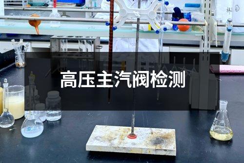 高壓主汽閥檢測(cè)