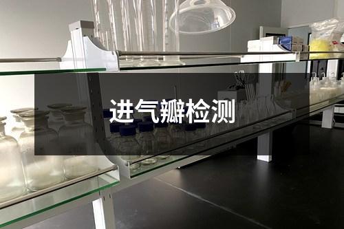 進(jìn)氣瓣檢測