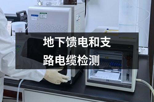 地下饋電和支路電纜檢測