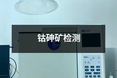 鈷砷礦檢測(cè)