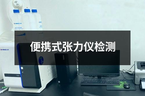 便攜式張力儀檢測