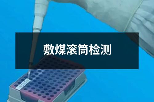 敷煤滾筒檢測(cè)