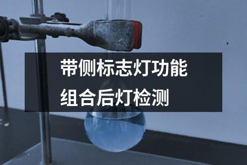 帶側(cè)標志燈功能組合后燈檢測