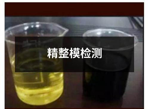精整模檢測