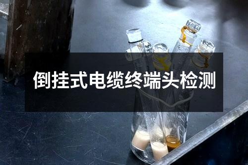 倒掛式電纜終端頭檢測(cè)