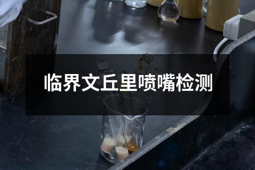 臨界文丘里噴嘴檢測(cè)