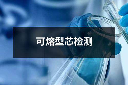 可熔型芯檢測(cè)