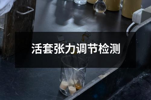 活套張力調(diào)節(jié)檢測