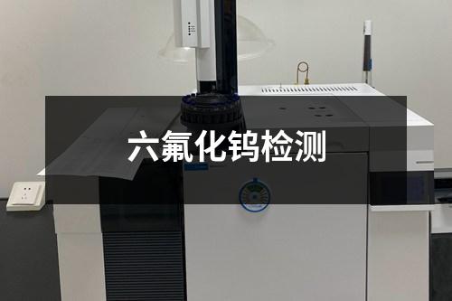 六氟化鎢檢測