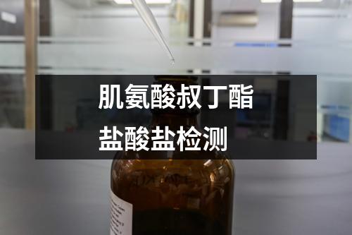 肌氨酸叔丁酯鹽酸鹽檢測(cè)