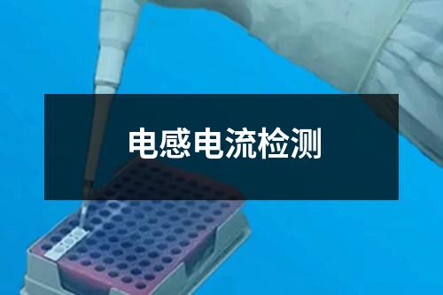 電感電流檢測