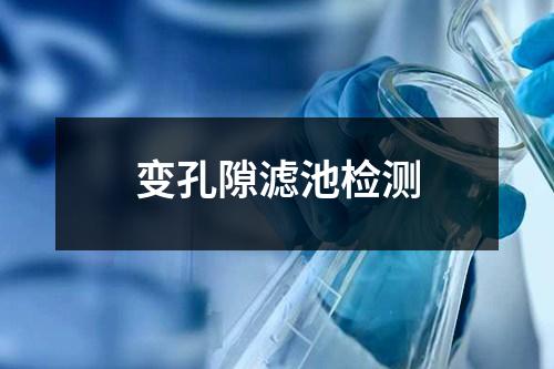 變孔隙濾池檢測(cè)