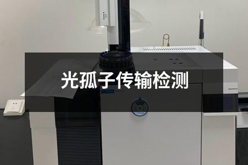 光孤子傳輸檢測