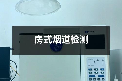 房式煙道檢測(cè)