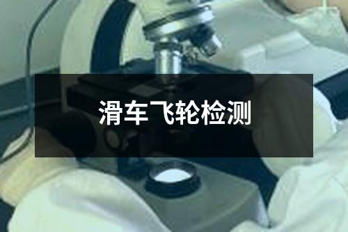 滑車(chē)飛輪檢測(cè)