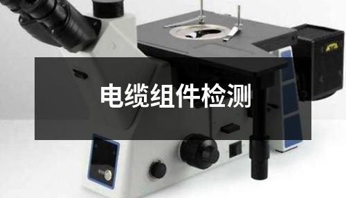 電纜組件檢測