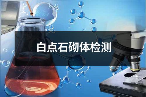 白點(diǎn)石砌體檢測