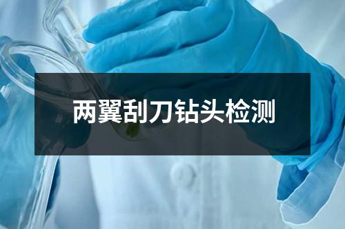 兩翼刮刀鉆頭檢測