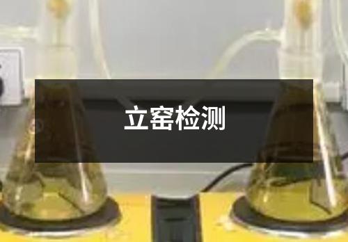 立窯檢測(cè)