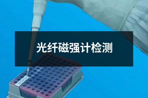 光纖磁強(qiáng)計(jì)檢測(cè)