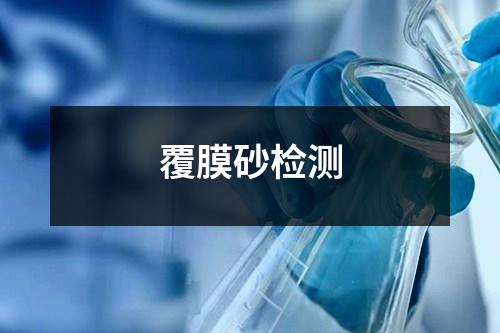 覆膜砂檢測