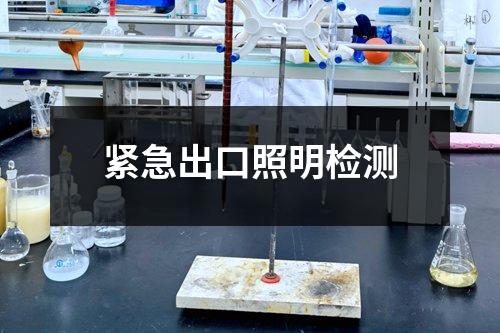 緊急出口照明檢測