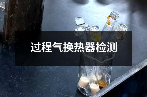 過程氣換熱器檢測