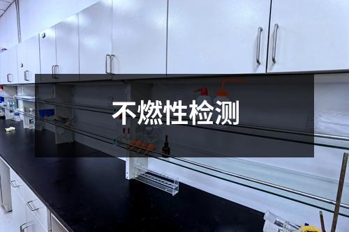 不燃性檢測(cè)