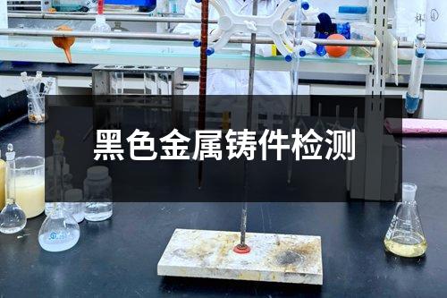黑色金屬鑄件檢測