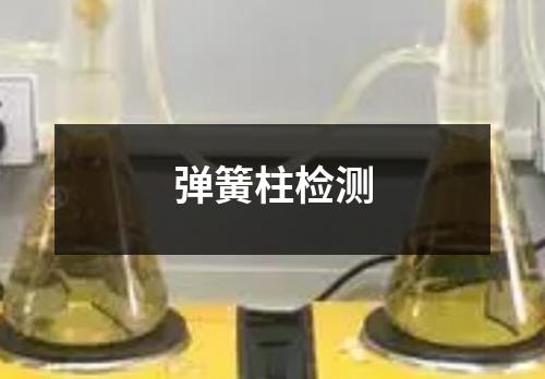 彈簧柱檢測