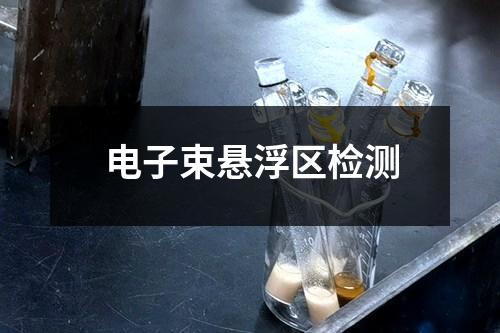 電子束懸浮區(qū)檢測(cè)