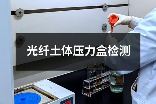 光纖土體壓力盒檢測(cè)