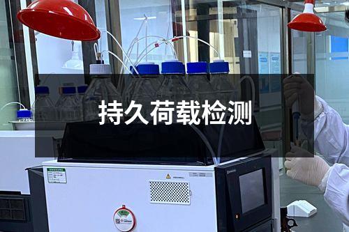持久荷載檢測(cè)