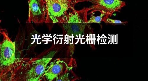 光學衍射光柵檢測