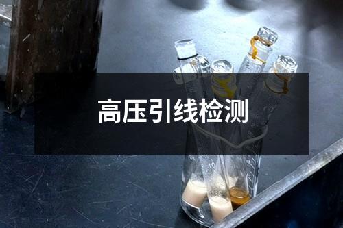 高壓引線檢測(cè)