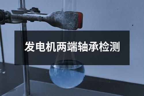 發(fā)電機(jī)兩端軸承檢測(cè)