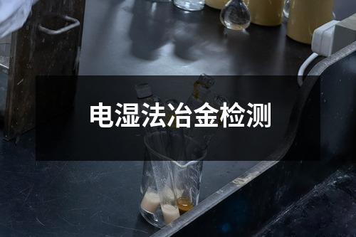 電濕法冶金檢測(cè)